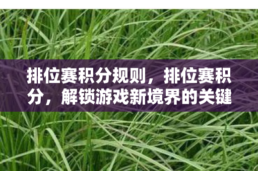 排位赛积分规则，排位赛积分，解锁游戏新境界的关键