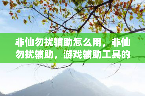 非仙勿扰辅助怎么用,非仙勿扰辅助,游戏辅助工具的正确使用与合规性探讨 非仙勿扰辅助怎么用,非仙勿扰辅助,游戏辅助工具的正确使用与合规性探讨