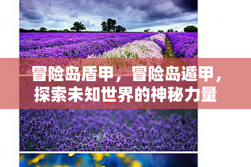 冒险岛盾甲，冒险岛遁甲，探索未知世界的神秘力量