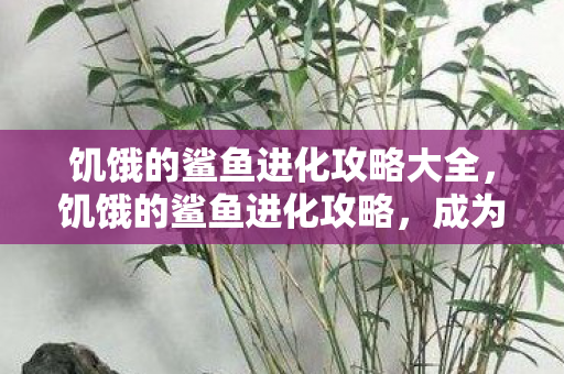 饥饿的鲨鱼进化攻略大全，饥饿的鲨鱼进化攻略，成为海洋霸主的策略指南