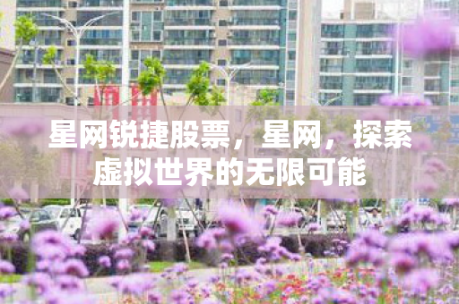 星网锐捷股票，星网，探索虚拟世界的无限可能