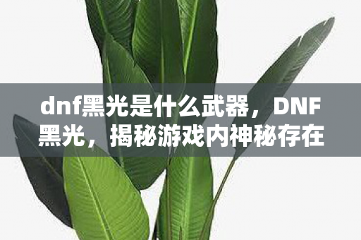 dnf黑光是什么武器，DNF黑光，揭秘游戏内神秘存在与玩家追求
