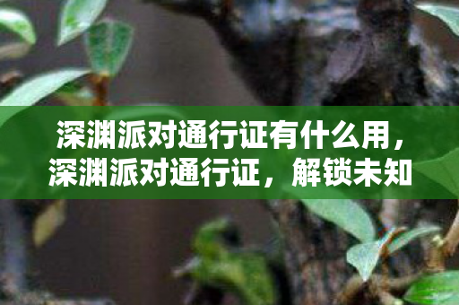 深渊派对通行证有什么用，深渊派对通行证，解锁未知世界的神秘钥匙