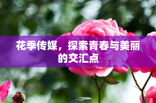 花季传媒,探索青春与美丽的交汇点 花季传媒,探索青春与美丽的交汇点