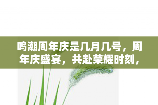 鸣潮周年庆是几月几号，周年庆盛宴，共赴荣耀时刻，探索未来之旅