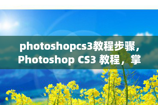photoshopcs3教程步骤，Photoshop CS3 教程，掌握经典工具，打造专业设计