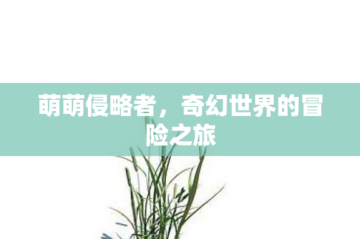 萌萌侵略者,奇幻世界的冒险之旅 萌萌侵略者,奇幻世界的冒险之旅