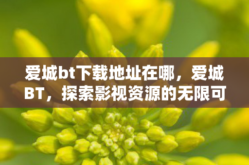 爱城bt下载地址在哪，爱城BT，探索影视资源的无限可能