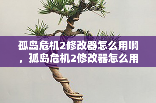 孤岛危机2修改器怎么用啊，孤岛危机2修改器怎么用
