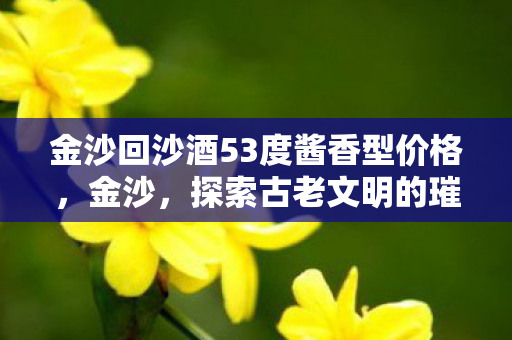 金沙回沙酒53度酱香型价格，金沙，探索古老文明的璀璨遗产