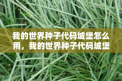 我的世界种子代码城堡怎么用，我的世界种子代码城堡，探索神秘遗迹的奇幻之旅