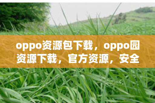 oppo资源包下载，oppo园资源下载，官方资源，安全无忧