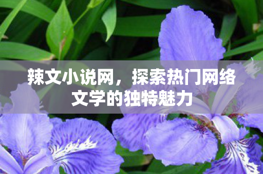 辣文小说网，探索热门网络文学的独特魅力