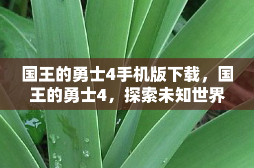 国王的勇士4手机版下载,国王的勇士4,探索未知世界的勇者之旅 国王的勇士4手机版下载,国王的勇士4,探索未知世界的勇者之旅