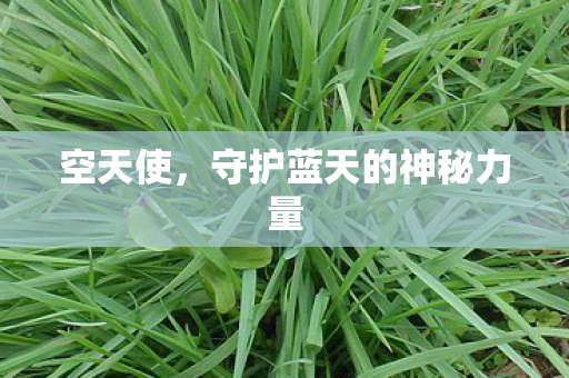 空天使,守护蓝天的神秘力量 空天使,守护蓝天的神秘力量