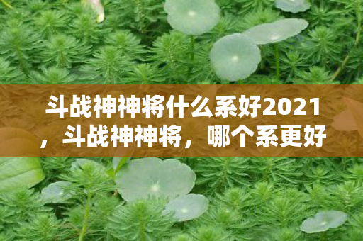 斗战神神将什么系好2021，斗战神神将，哪个系更好？
