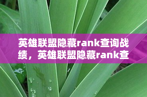英雄联盟隐藏rank查询战绩，英雄联盟隐藏rank查询，揭秘你的真实实力