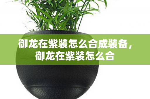 御龙在紫装怎么合成装备，御龙在紫装怎么合