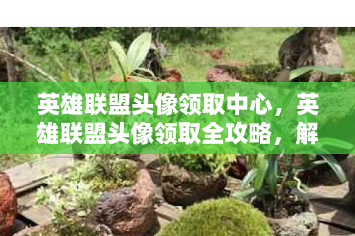 英雄联盟头像领取中心，英雄联盟头像领取全攻略，解锁专属游戏形象