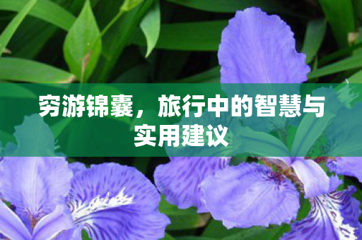 穷游锦囊,旅行中的智慧与实用建议 穷游锦囊,旅行中的智慧与实用建议