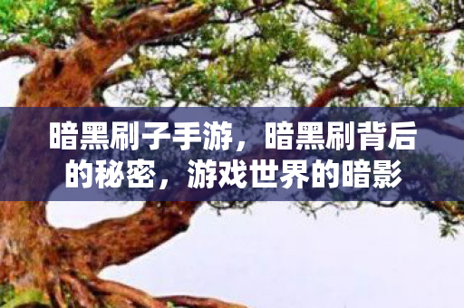 暗黑刷子手游，暗黑刷背后的秘密，游戏世界的暗影
