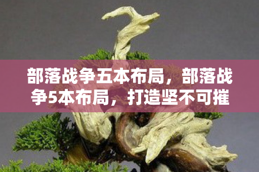 部落战争五本布局，部落战争5本布局，打造坚不可摧的防御体系