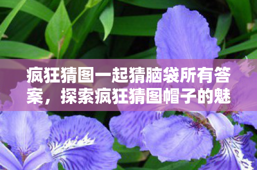 疯狂猜图一起猜脑袋所有答案，探索疯狂猜图帽子的魅力，时尚与智慧的碰撞