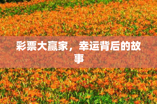 彩票大赢家，幸运背后的故事