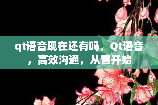qt语音现在还有吗，Qt语音，高效沟通，从音开始