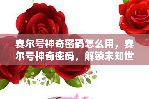 赛尔号神奇密码怎么用，赛尔号神奇密码，解锁未知世界的神秘钥匙