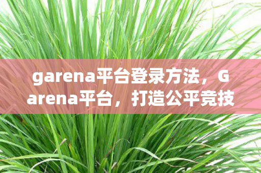 garena平台登录方法，Garena平台，打造公平竞技的电竞生态