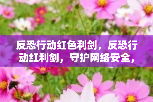 反恐行动红色利剑，反恐行动红利剑，守护网络安全，打击非法行为