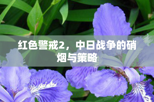 红色警戒2，中日战争的硝烟与策略