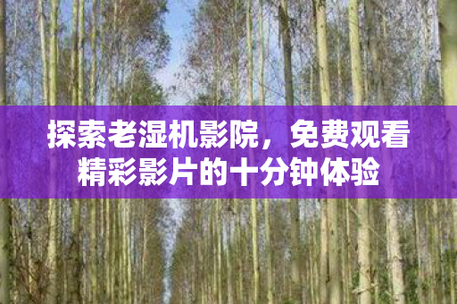 探索老湿机影院，免费观看精彩影片的十分钟体验