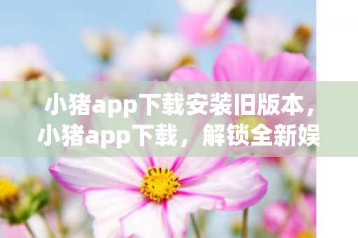 小猪app下载安装旧版本，小猪app下载，解锁全新娱乐体验