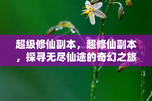 超级修仙副本，超修仙副本，探寻无尽仙途的奇幻之旅