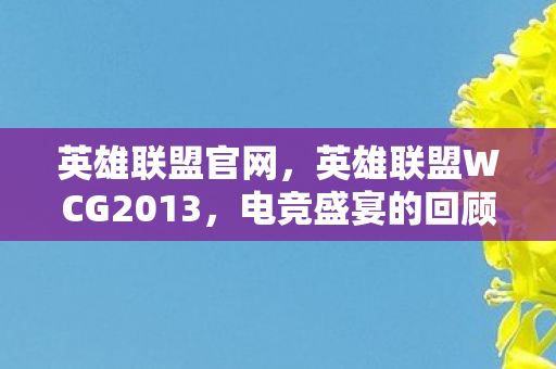 英雄联盟官网，英雄联盟WCG2013，电竞盛宴的回顾与解析