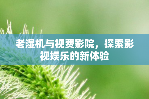 老湿机与视费影院，探索影视娱乐的新体验