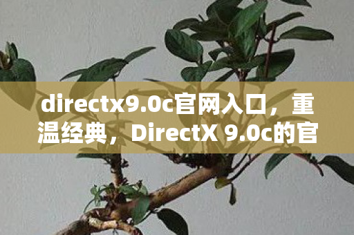 directx9.0c官网入口，重温经典，DirectX 9.0c的官方之旅
