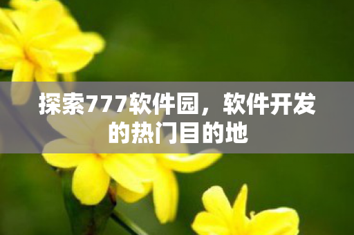 探索777软件园，软件开发的热门目的地