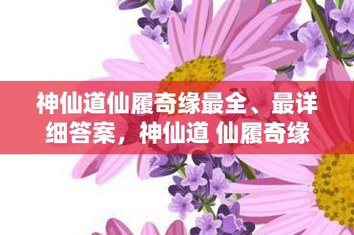 神仙道仙履奇缘最全、最详细答案，神仙道 仙履奇缘，探寻古典与现代的浪漫交织