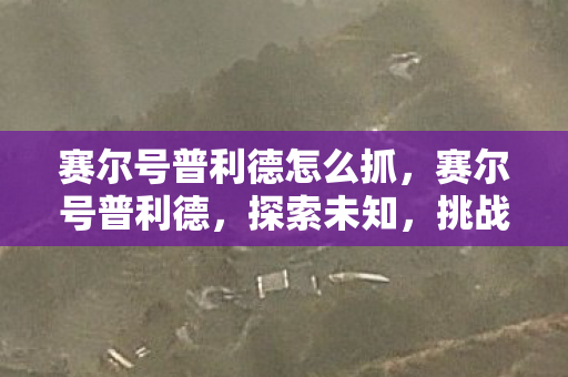 赛尔号普利德怎么抓，赛尔号普利德，探索未知，挑战极限