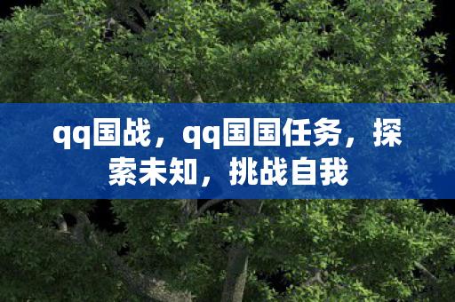 qq国战，qq国国任务，探索未知，挑战自我