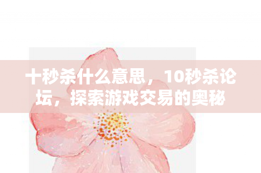 十秒杀什么意思，10秒杀论坛，探索游戏交易的奥秘
