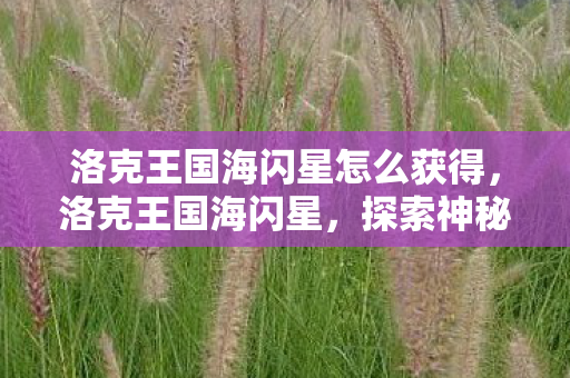 洛克王国海闪星怎么获得，洛克王国海闪星，探索神秘海域的璀璨星辰