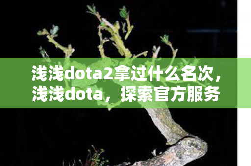 浅浅dota2拿过什么名次，浅浅dota，探索官方服务器的独特魅力