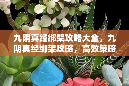 九阴真经绑架攻略大全，九阴真经绑架攻略，高效策略与技巧