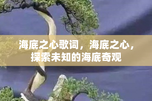 海底之心歌词，海底之心，探索未知的海底奇观