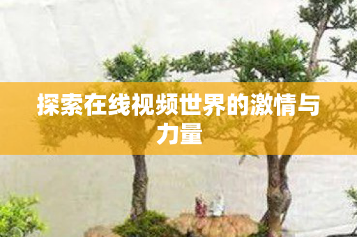 探索在线视频世界的激情与力量