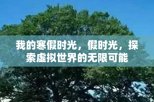 我的寒假时光，假时光，探索虚拟世界的无限可能